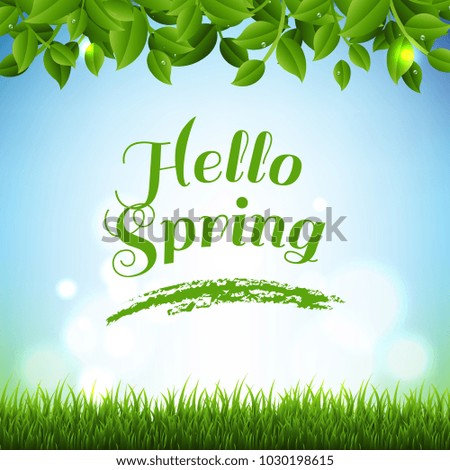 Spring Banner With Green Branches And Grass With Gradient Mesh, Vector Illustration