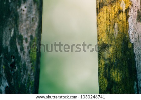 Wood with green background
