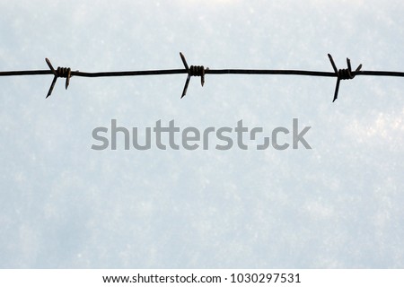 Iron barbed wire to protect the territory. Conceptual view - the restriction of freedom. 