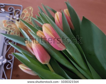 Tulips with a picture frame laying on a wooden table, Spring flowers