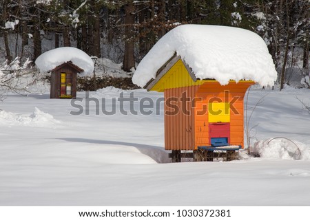 Beehive houses - Bee hive in winter covered with fresh snow, agriculture, apiculture, colorful, beautiful, art work,  wood beehive