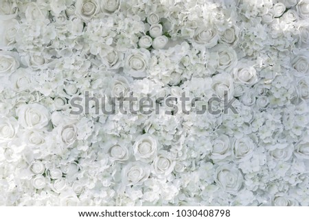 White roses pattern wall. Love, valentine or wedding background concept. Fresh natural backdrop. Picture for add text message. Backdrop for design art work.