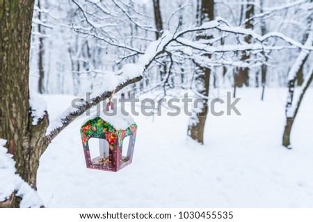 Bird feeders. A colorful, homemade bird feeder on the tree. Winter bird feeder in the park, forest.