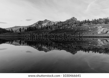 Black and White reflection