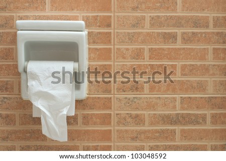 An almost empty roll of toilet paper Royalty-Free Stock Photo #103048592