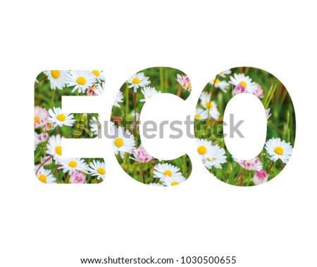 Isolated word ECO with daisies and white background