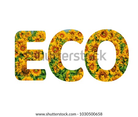 Isolated word ECO with sunflowers and white background