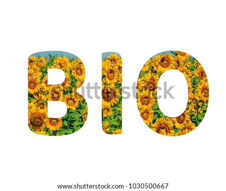 Isolated word BIO with sunflowers and white background