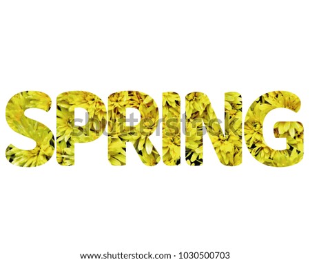 Isolated word SPRING with yellow flowers and white background