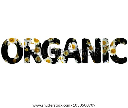 Isolated word ORGANIC with daisies and white background