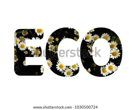 Isolated word ECO with daisies and white background