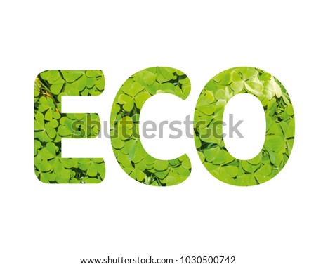 Isolated word ECO with clover leaves and white background