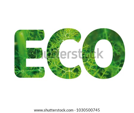 Isolated word ECO with green grass and white background