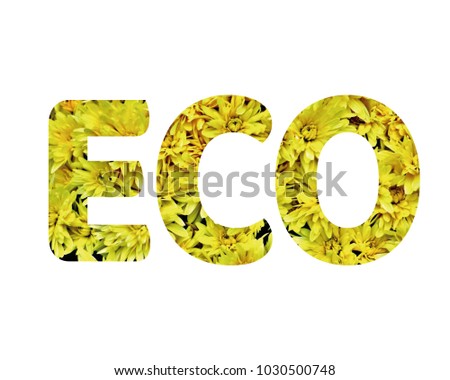 Isolated word ECO with yellow flowers and white background