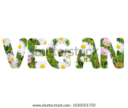 Isolated word VEGAN with daisies and white background