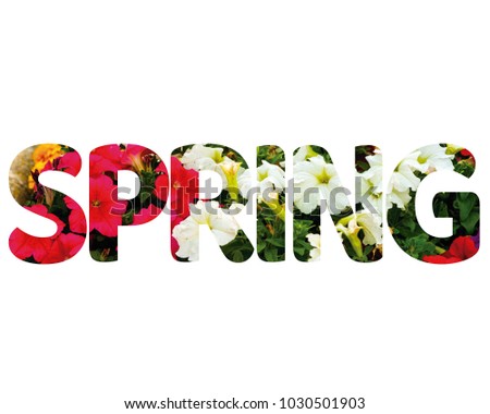 Isolated word SPRING with pink and white flowers and white background