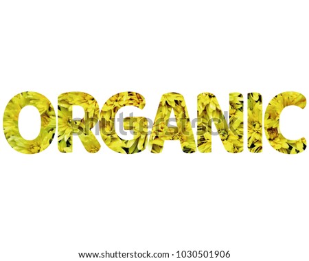 Isolated word ORGANIC with yellow flowers and white background