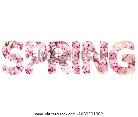 Isolated word SPRING with pink flowers and white background