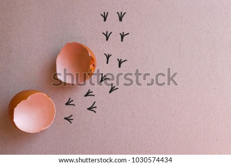 The broken shell of a chicken egg, near the painted bird tracks. A new life stage, a way out of the comfort zone, the growth of children. Light background, daylight. The picture is made by the author.