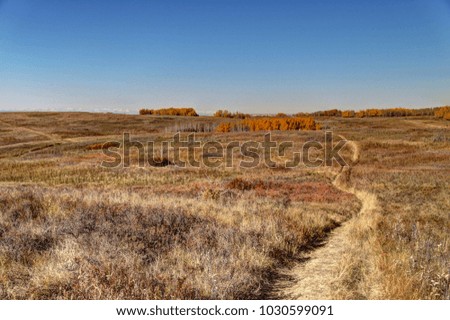 Prairie landscape in the fall