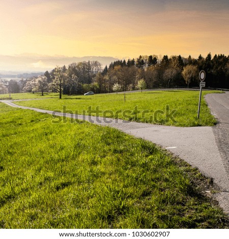 Winding asphalt road between pastures in Switzerland at sunrise. Swiss landscape with meadows and crossroads with a traffic sign