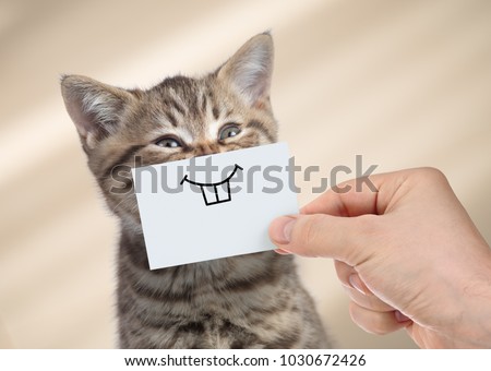 funny cat with smile on cardboard