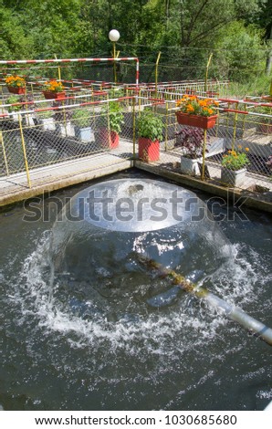 A water feature in  fish pond  in sunny summer day
