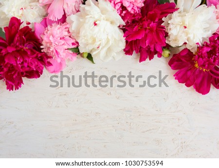 Beautiful Flower background with copy space for design. Border of Red and white peony flowers at the grunge white background. Top view. Greeting card for mother's day, birthday, womens day, wedding