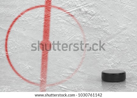 Fragment of the hockey arena with a marking and a washer. Concept, hockey
