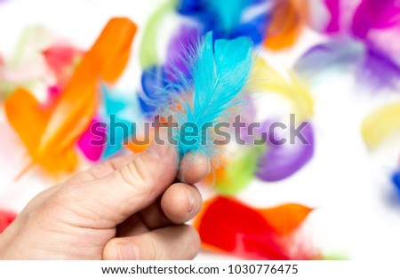 A colored feather in the hand on a white background