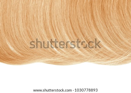 Texture and tips of hair close-up