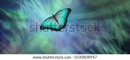 Soul Release Metaphor for departing soul - lone jade green  coloured butterfly set against a radiating feathered bokeh green and blue  coloured background
