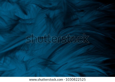 Closeup dark blue toner color feather pattern texture background