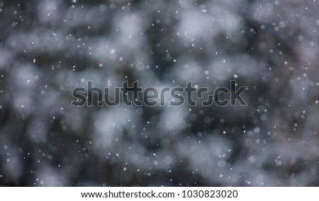 winter snowing, snowflakes background  