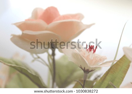 Artificial roses on a white background