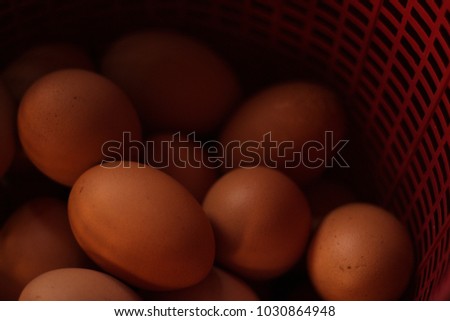 Chicken eggs in a plastic storage with dark tone