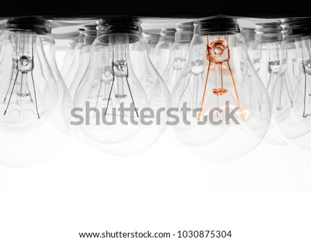 Photo of light bulbs in rows with shining one of them on white background; concept of standing out, uniqueness and idea