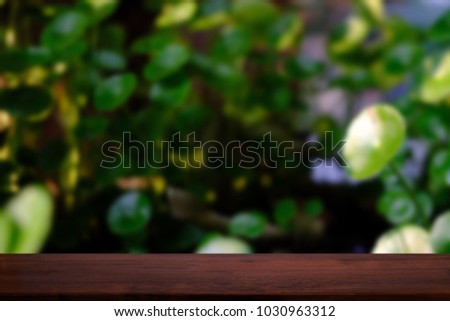 Wood table top with blur of Green leaves water lily in the morning.For montage product display or design key visual layout