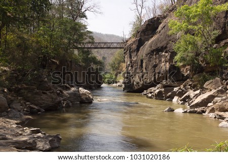 Tropical river with jungle and stone