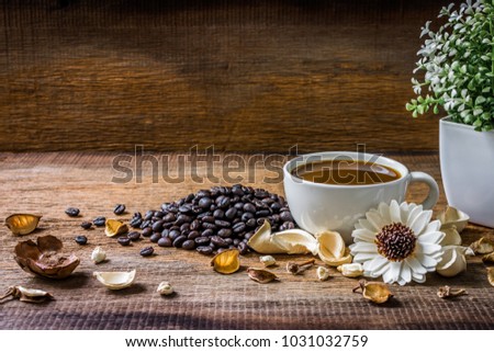 Coffee in white cup with coffee beans on wooden floor and flowers, green tree in pots with dried bark on wooden background.