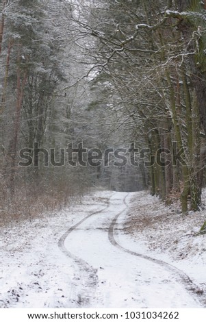 Empty Snowy Road in the Forest. Traces of Car Tires Visible in the Snow. Winter Landscape. Morning Winter Woods View .