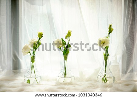 White rose is placed in transparent glass bottle inside white screen window.