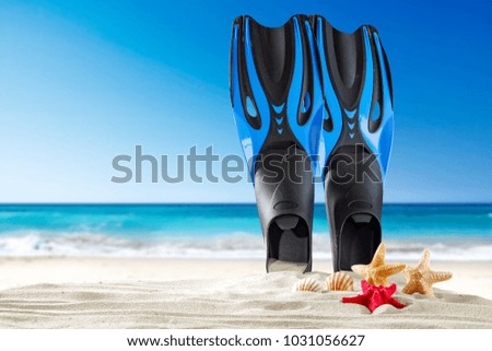 Fins on beach and shell 