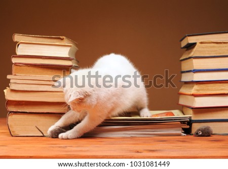 White cat plays with plush mouse and books