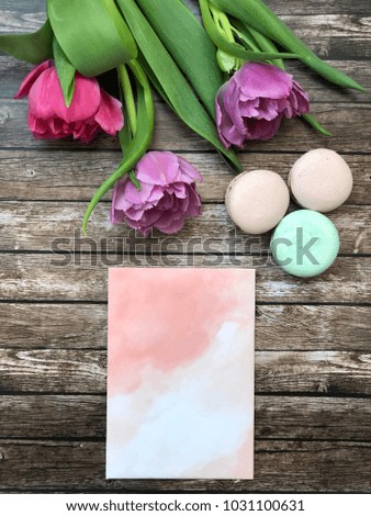rustic spring paper for text. spring pink paper for your ideas with tulips and macaroons. pink watercolor paper for your ideas. 