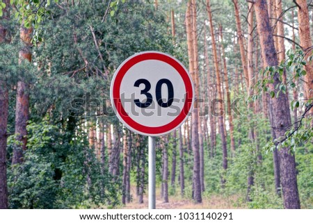 Road sign speed limit near a road near a pine forest
