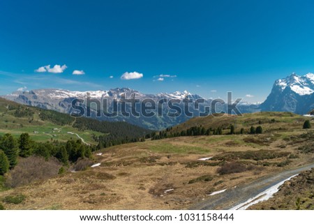 Spectacular view of Greendeltwald valley in the Bernese Alps, Switzerland Royalty-Free Stock Photo #1031158444