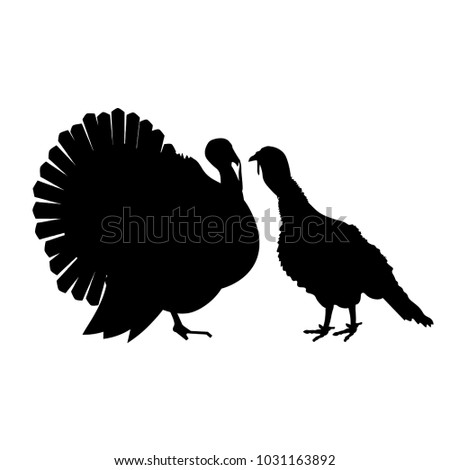 Turkey pair, tom and hen, male and female. Vector black silhouettes on white background