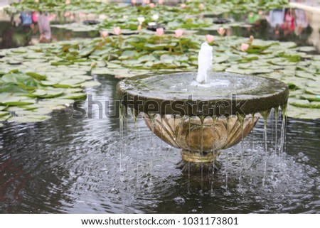 A fountain in the middle of a water lily pond