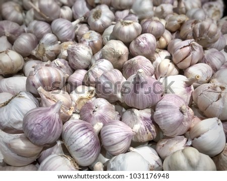 Garlic group background,fresh garlic - organic garlic,Top view,flay lay on the shelf in market.